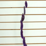 Movil tamaño G de Ágata violeta - Imagen 2