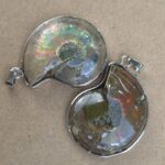 Dije Fosil - Imagen 2