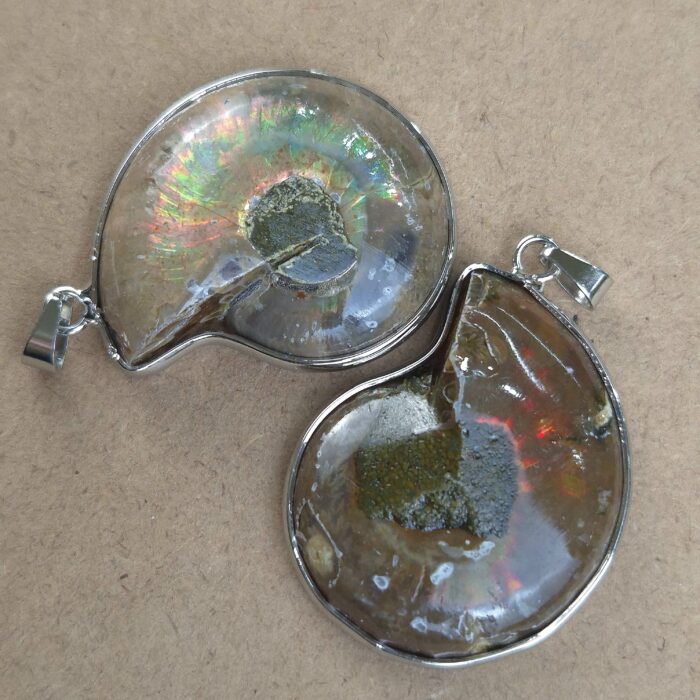 Dije Fosil - Imagen 2