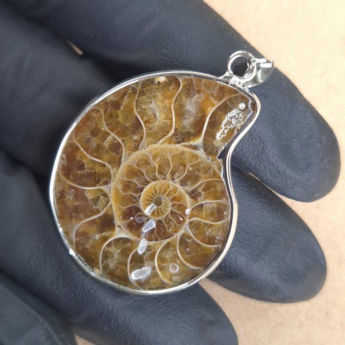 Dije Fosil - Imagen 1