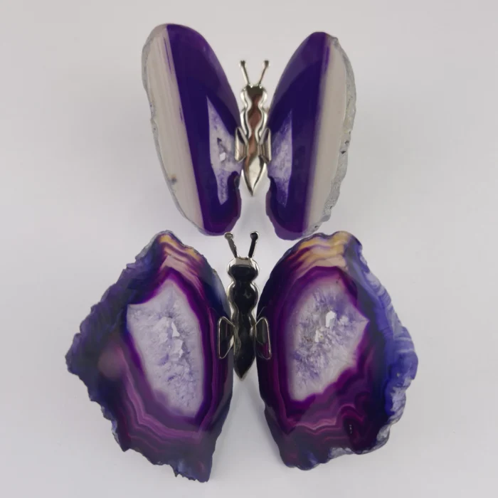 Mariposa de Agata Violeta - Imagen 1