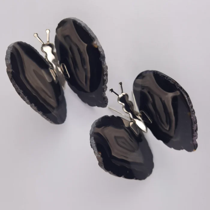 Mariposa de Agata Negra - Imagen 1