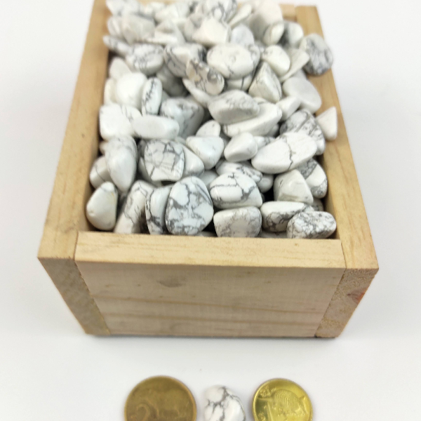 PR(1-2)54 Piedra rolada de 1 a 2 cm de Howlita - Imagen 1
