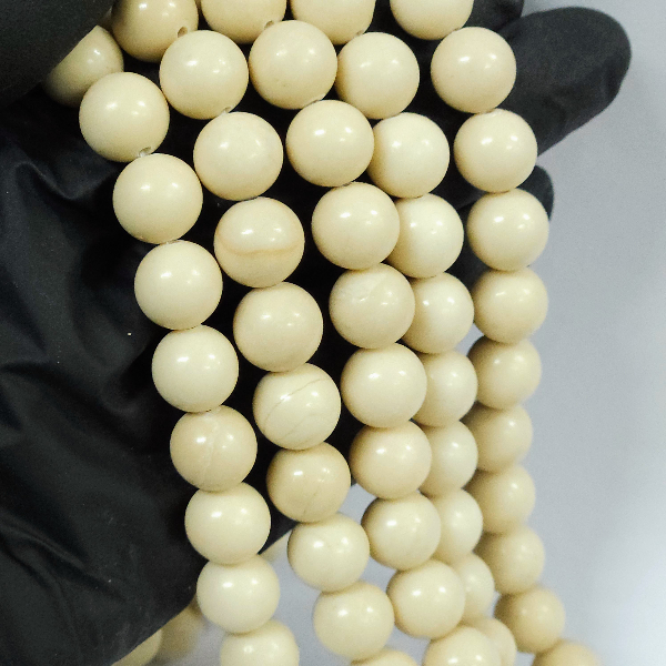 TES10MM 119 (2) fosil