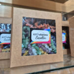 Kit 7 chakras collares de escalla