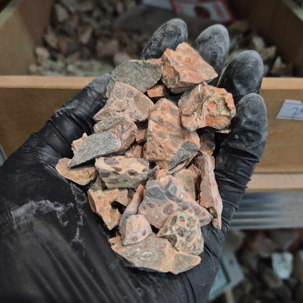 PBM 70 Piedra en bruto de Leopardita - Imagen 1